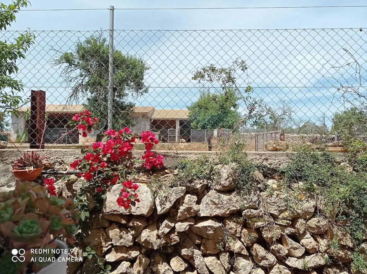 Sweet House Villa Ballerics Tatil Evi